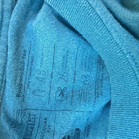 PATAGONIA Teal Regular Fit Classic Logo Tee T Shirt Size Small - Picture 7 of 7